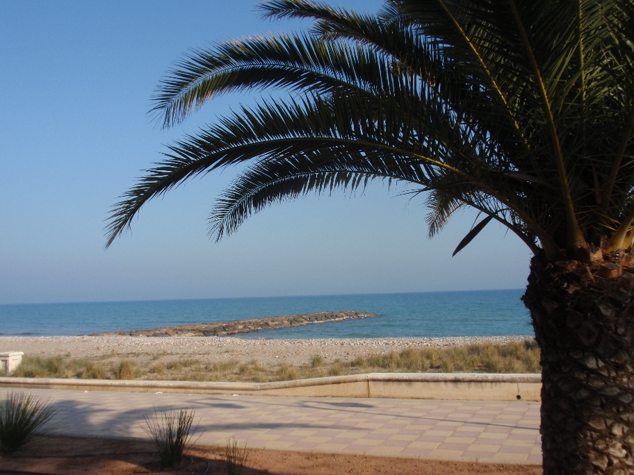 Taller en Chilches, Valencia